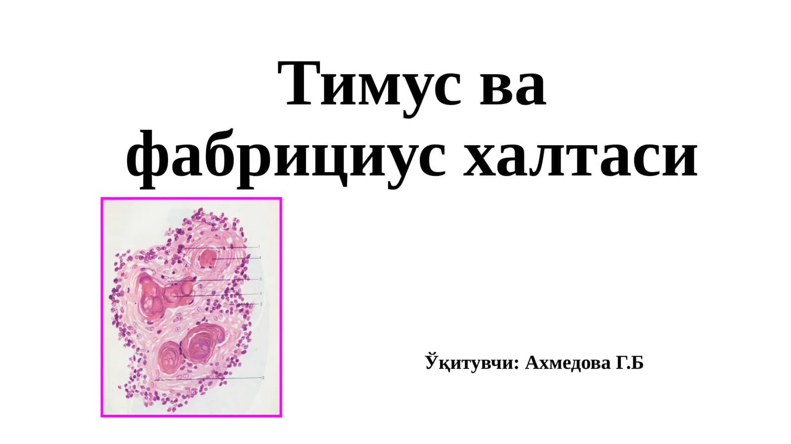 Тимус ва фабрицияси халтаси