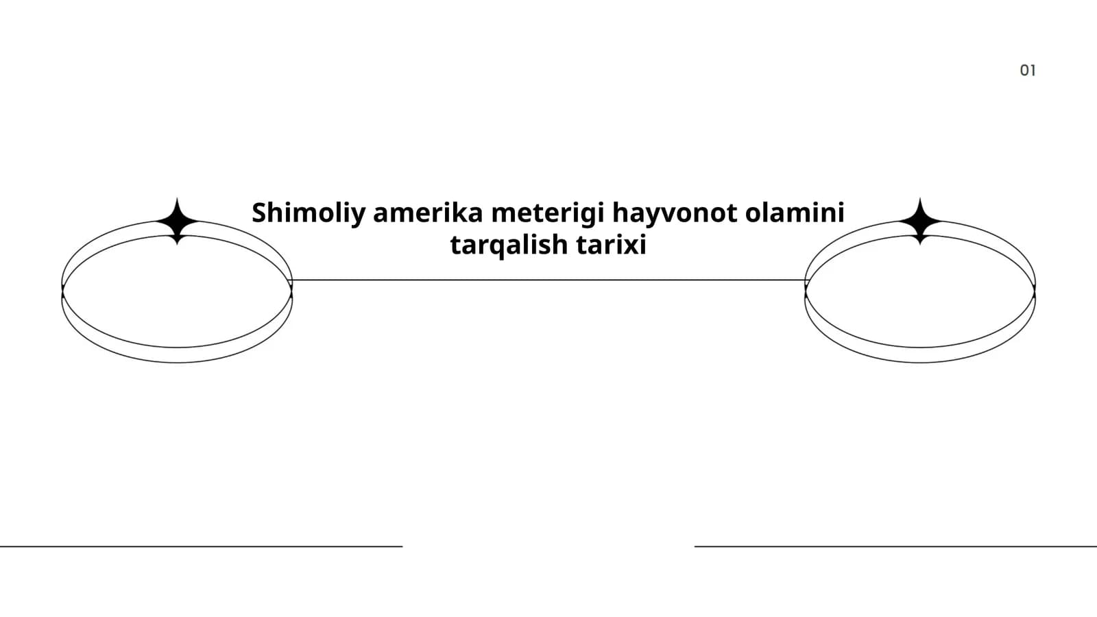 Shimoliy Amerika meterigi hayvonot olamini tarqalish tarixi