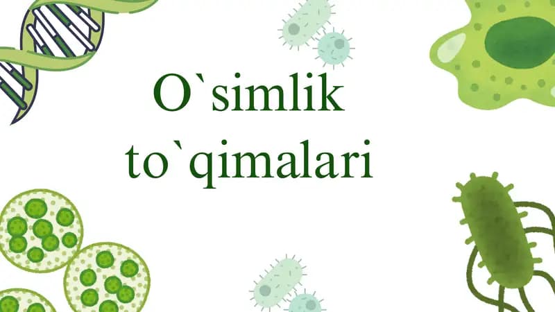 O`simlik to`qimalari.