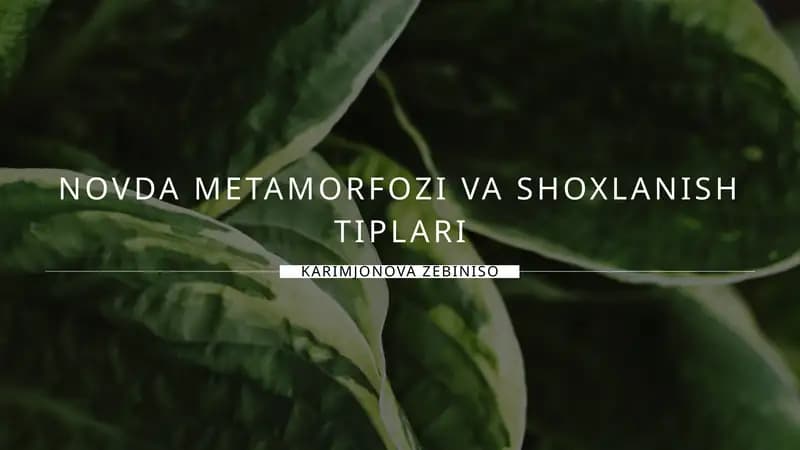 Novda Metamorfozi va Shoxlanish Tiplari