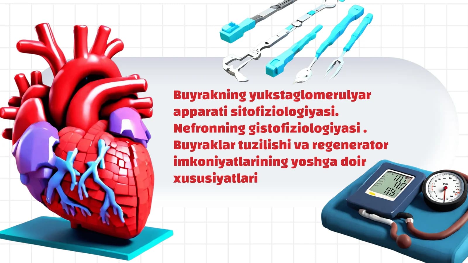 Buyrakning yukstaglomerulyar apparati sitofiziologiyasi. Nefronning gistofiziologiyasi . Buyraklar tuzilishi va regenerator imkoniyatlarining yoshga doir xususiyatlari