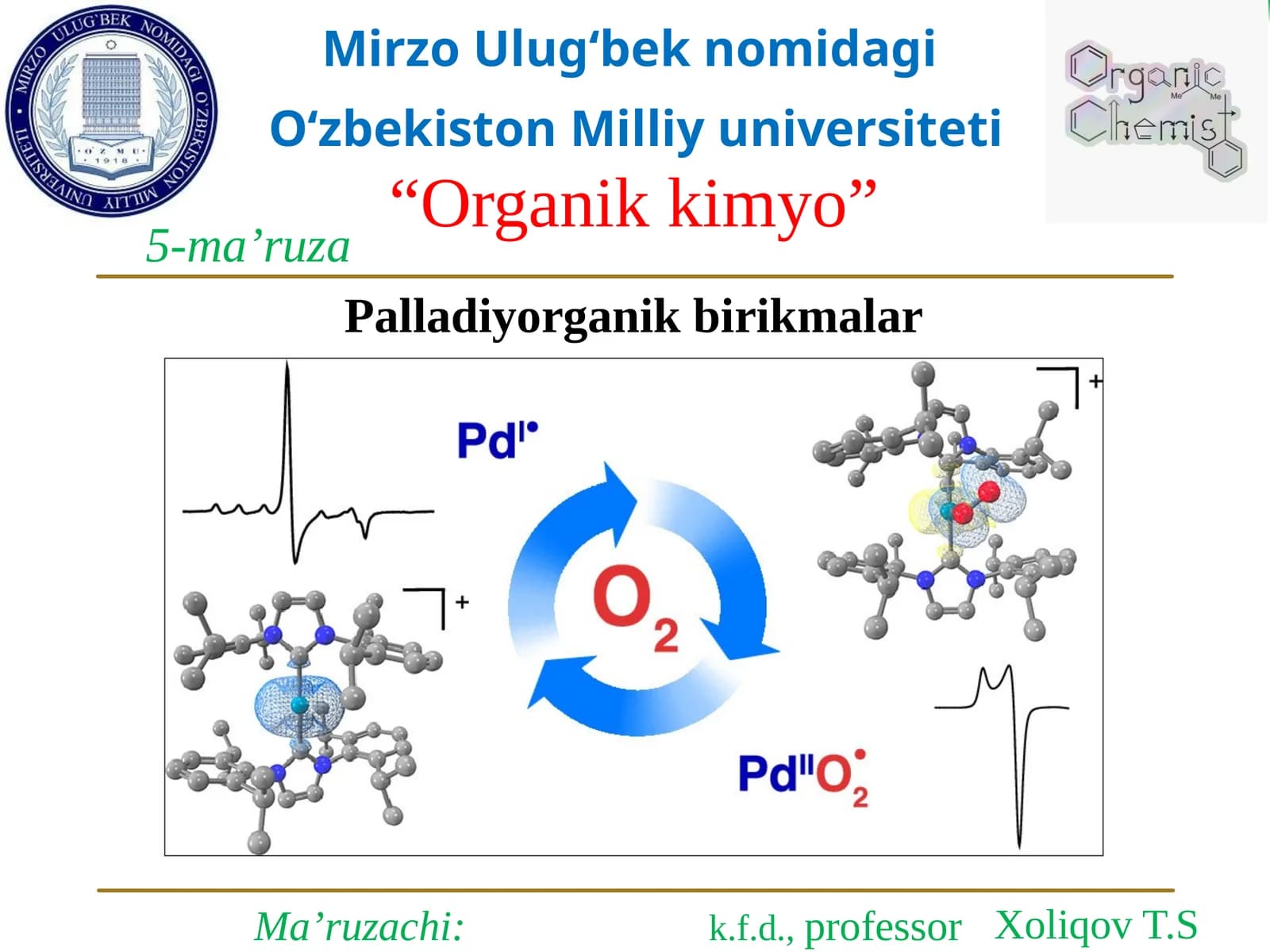 Palladiyorganikbirikmalar