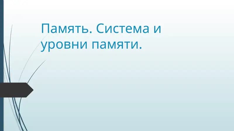 Память. Система и уровни памяти.