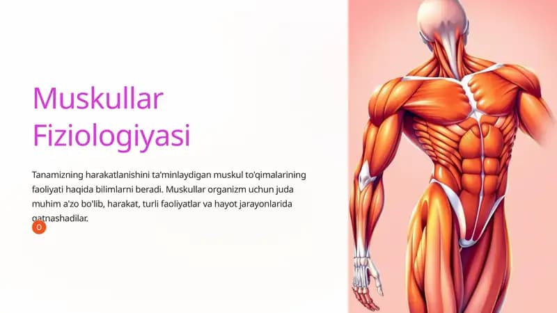 Muskullar Fiziologiyasi