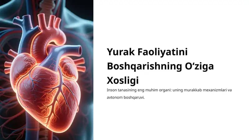 Yurak Faoliyatini Boshqarishning O‘ziga Xosligi