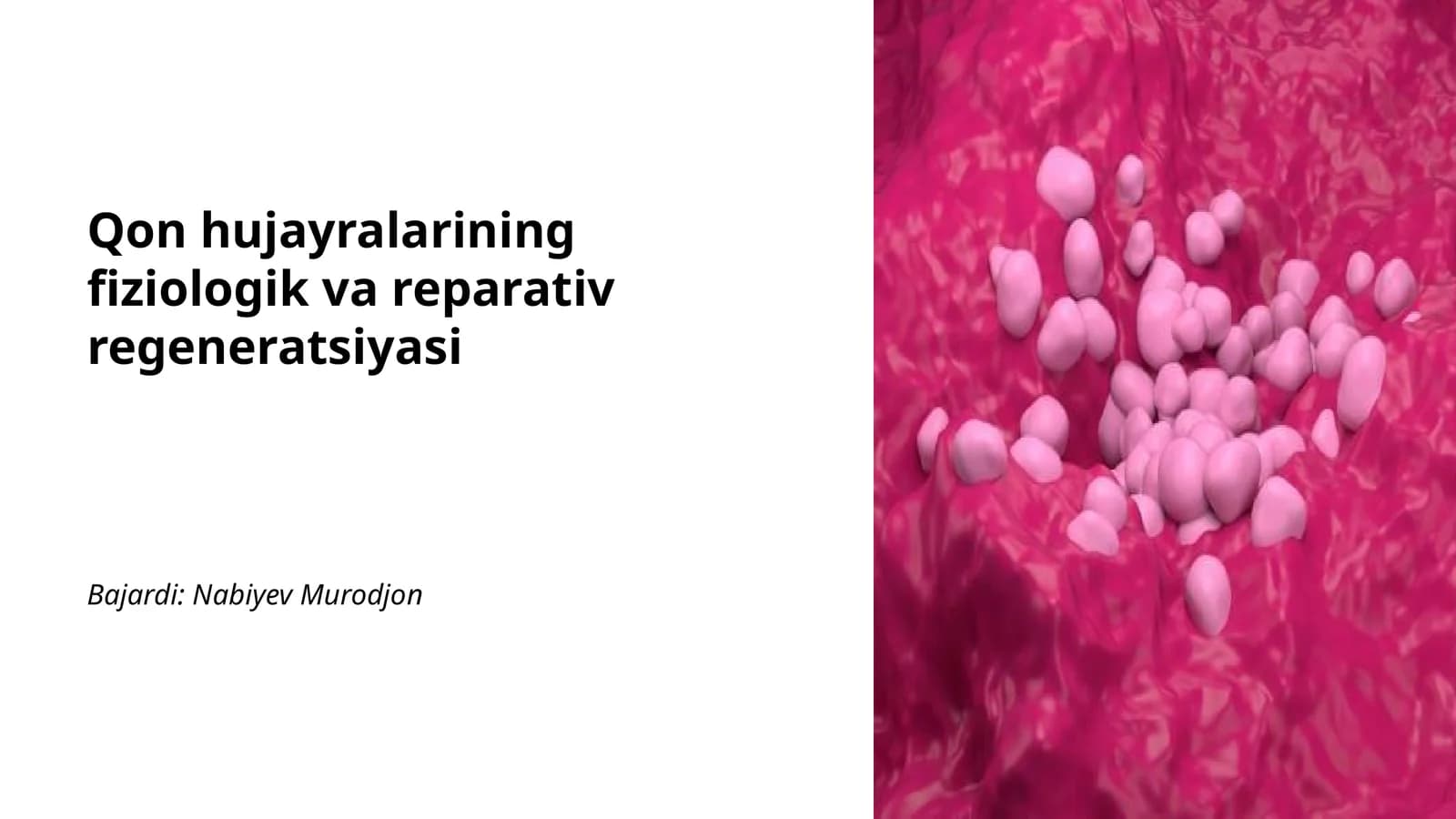 Qon hujayralarining fiziologik va reparativ regeneratsiyasi