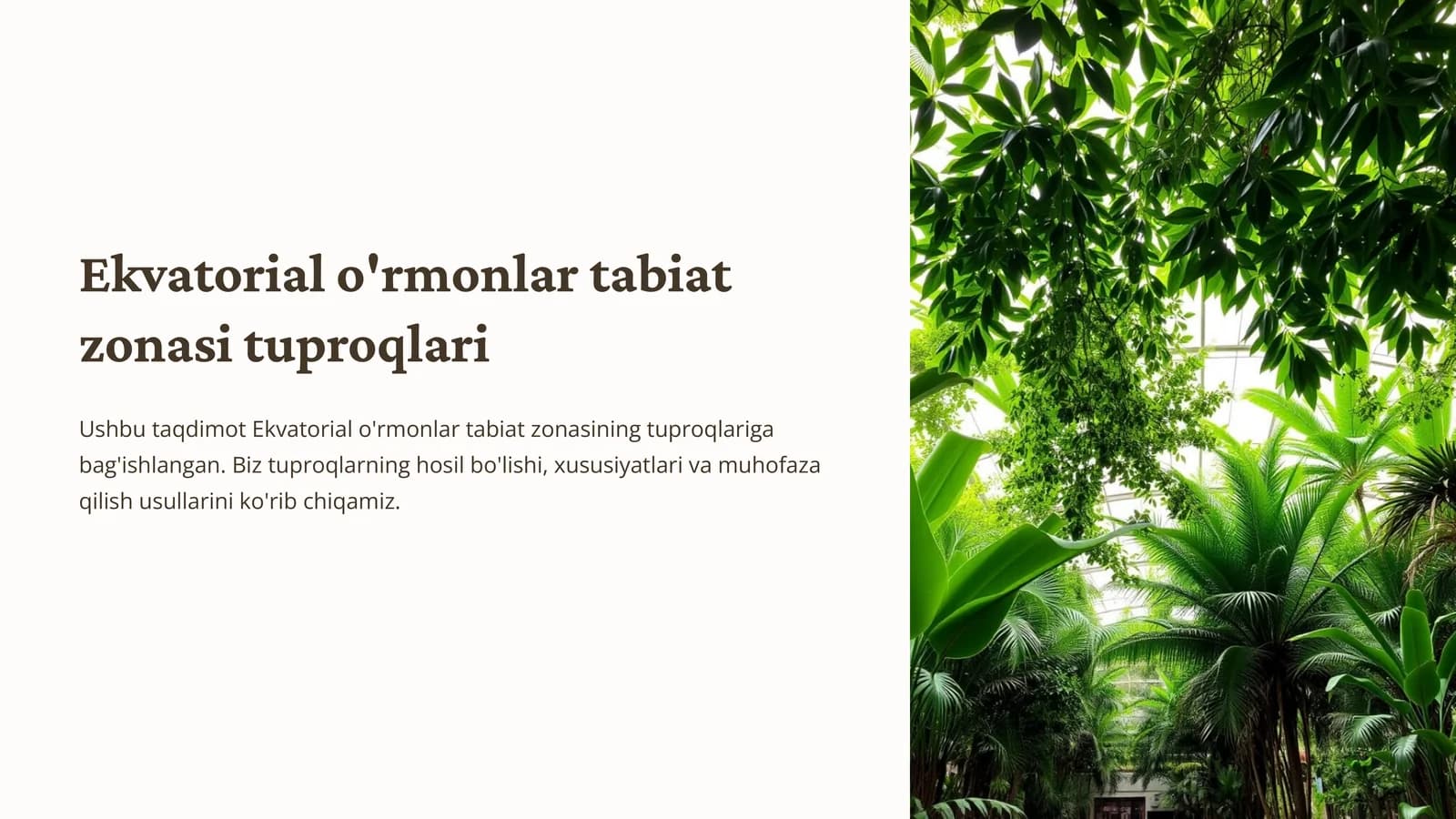 Ekvatorial o'rmonlar tabiat zonasi tuproqlari