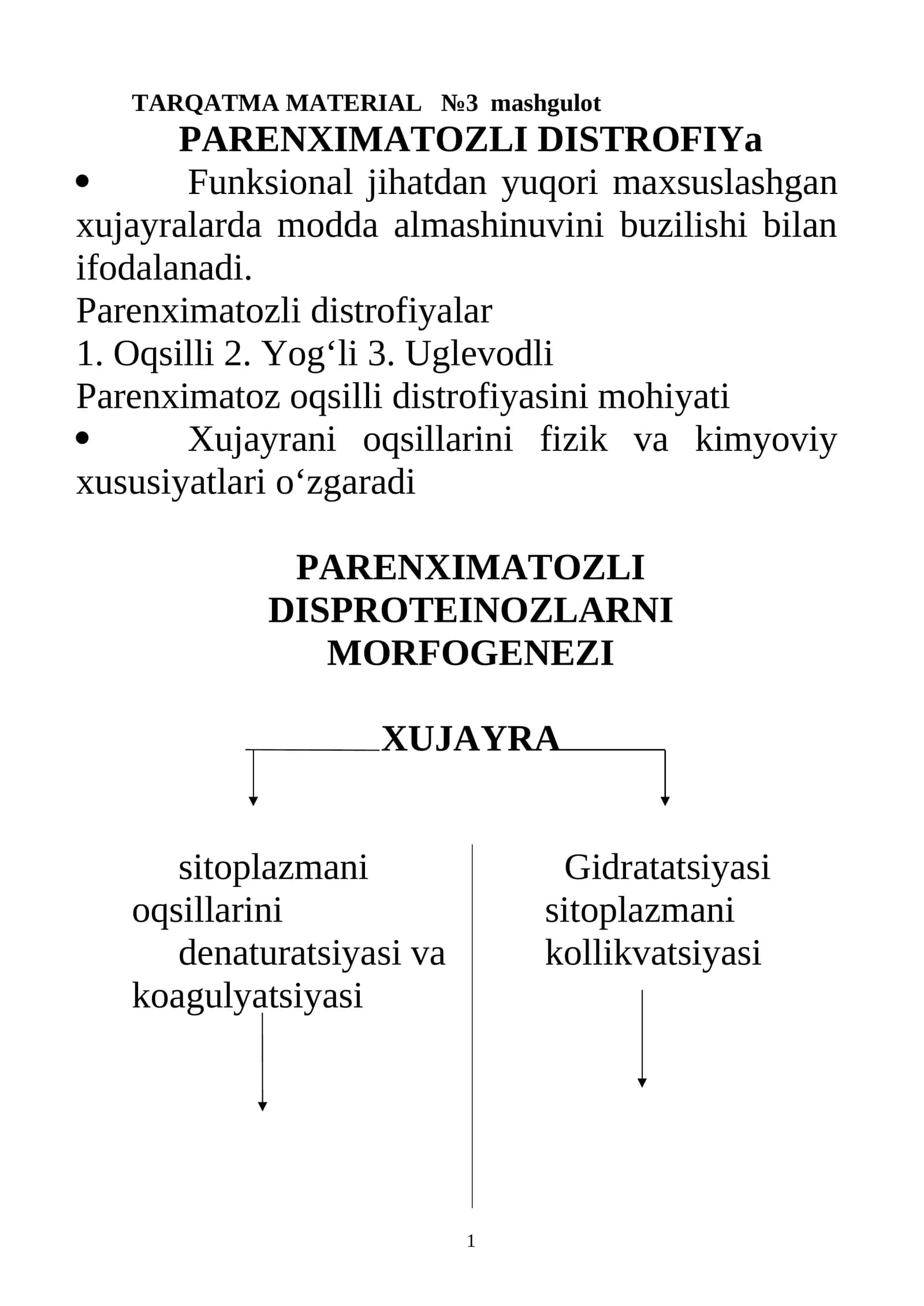 TARQATMA MATERIAL №3 mashgulot