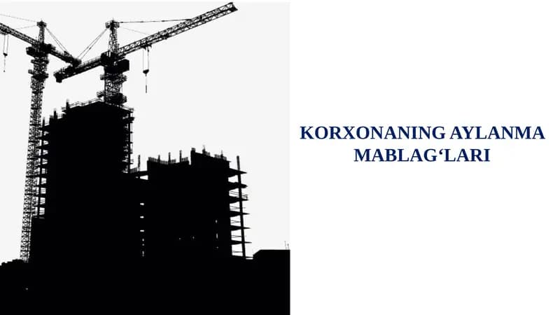 KORXONANING AYLANMA MABLAG‘LARI