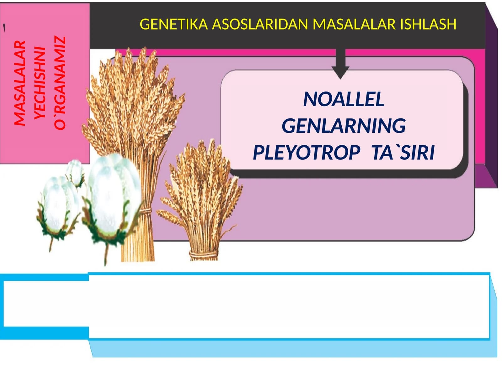 GENETIKA ASOSLARIDAN MASALALAR ISHLASH
