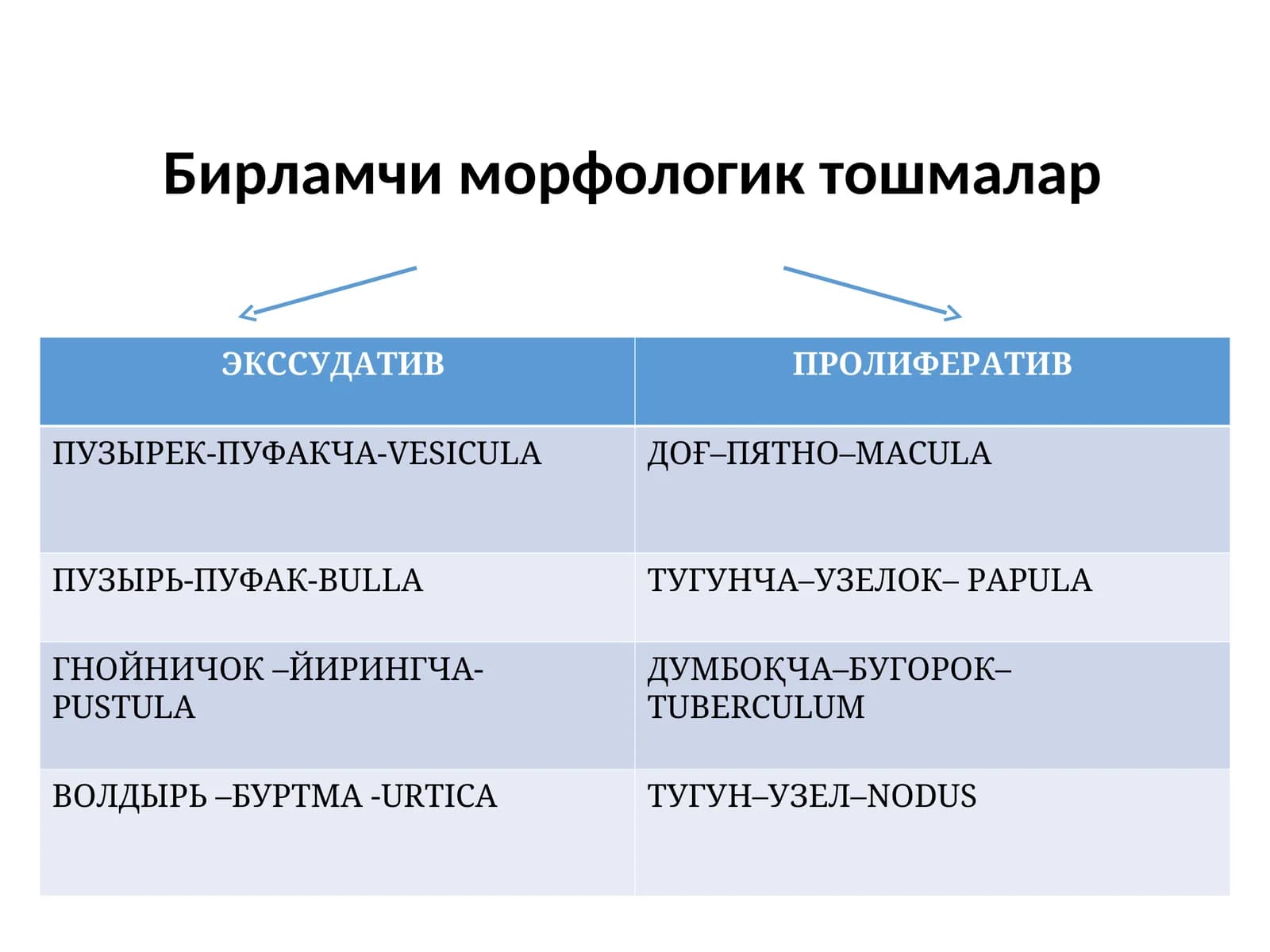Доғ (macula)