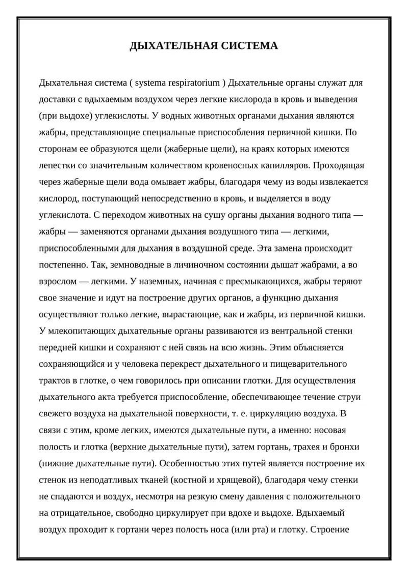 Дыхательная система