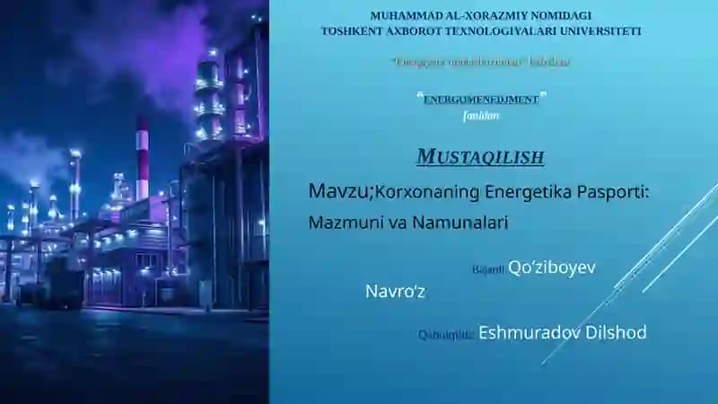 Korxonaning Energetika Pasporti: Mazmuni va Namunalari