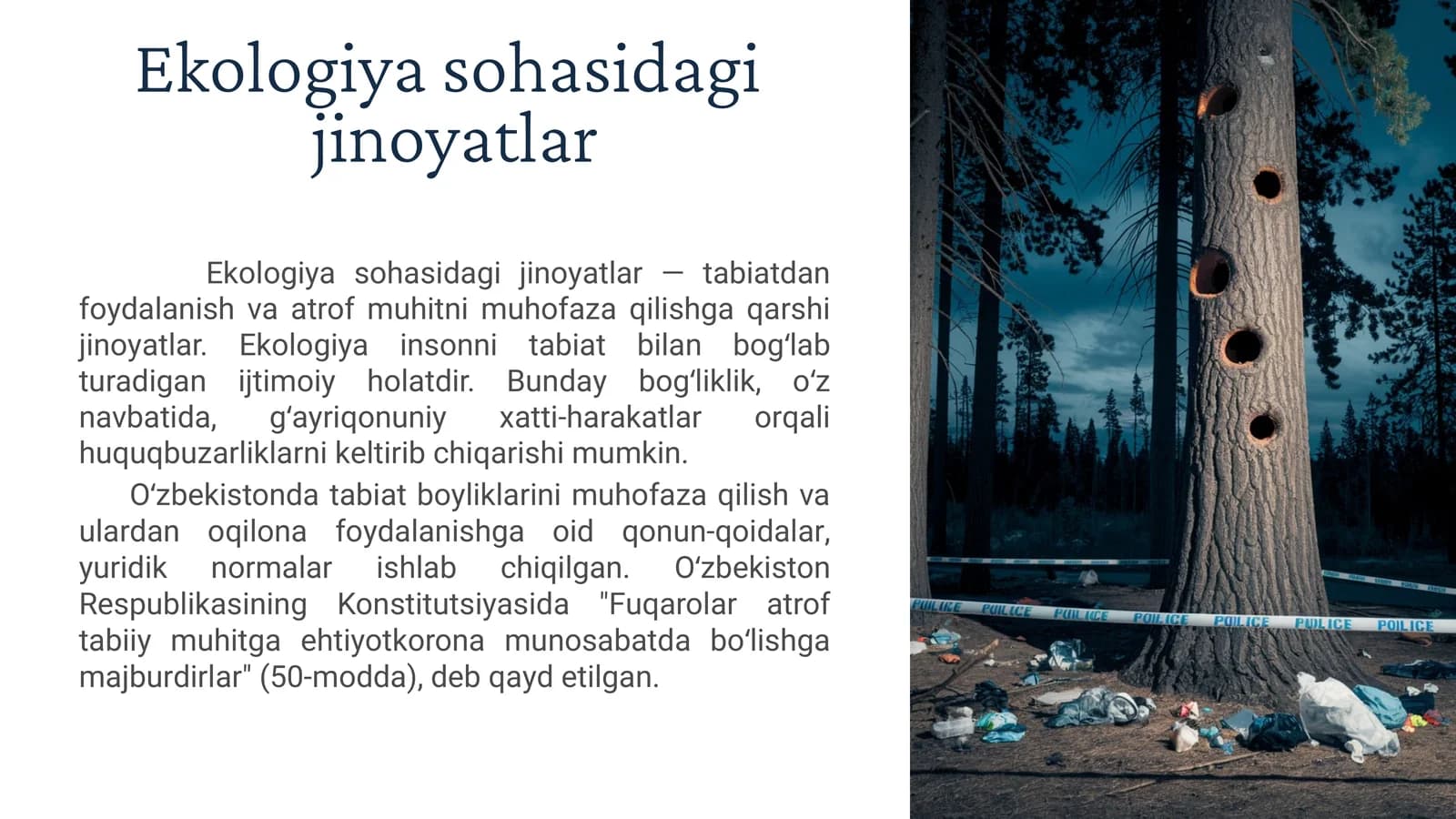 Ekologiya sohasidagi jinoyatlar