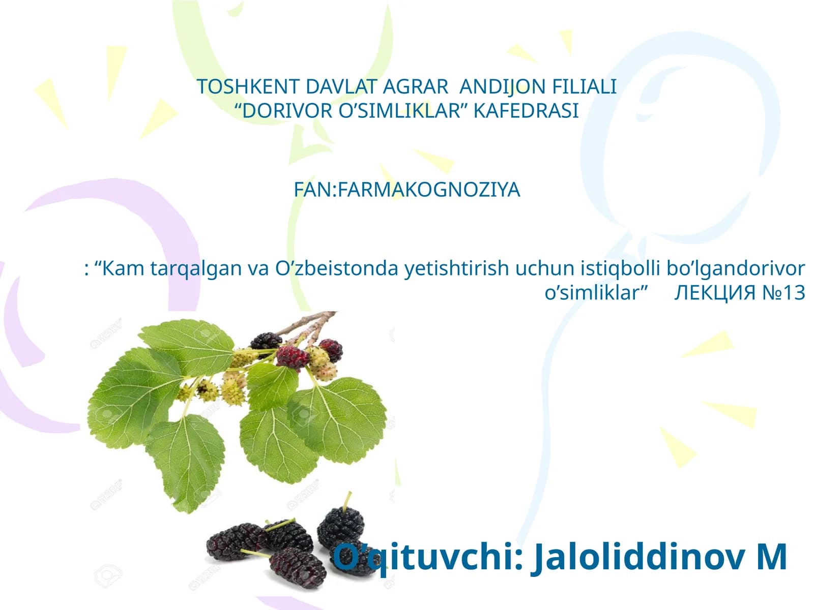 DORIVOR O’SIMLIKLAR