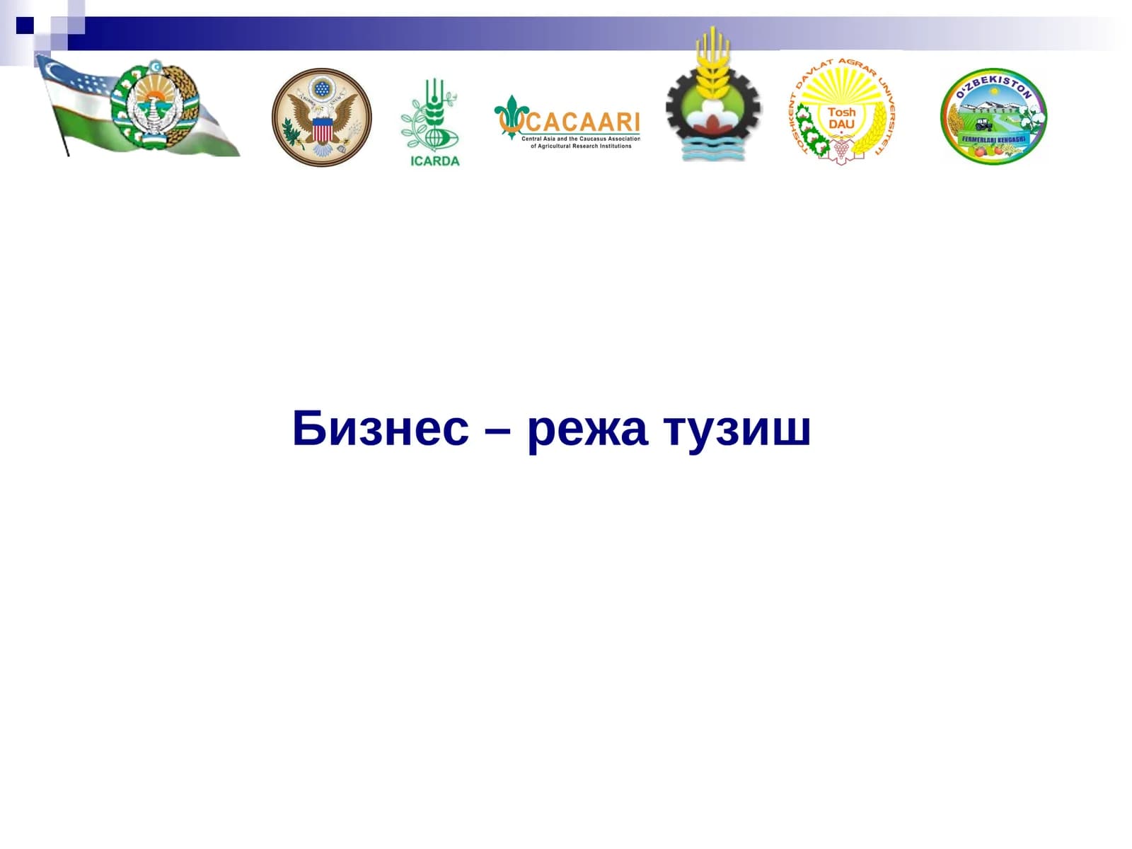 Бизнес-режа тузиш