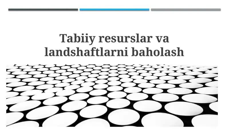 Tabiiy resurslar va landshaftlarni baholash