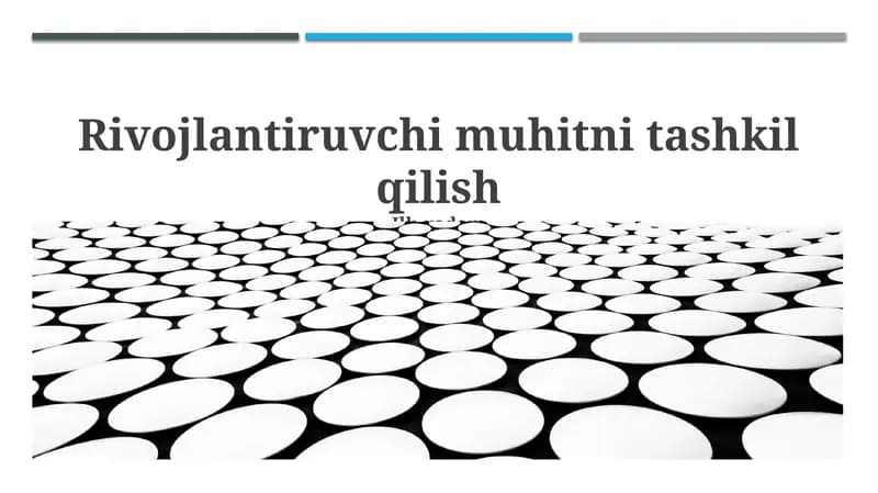 Rivojlantiruvchi muhitni tashkil qilish