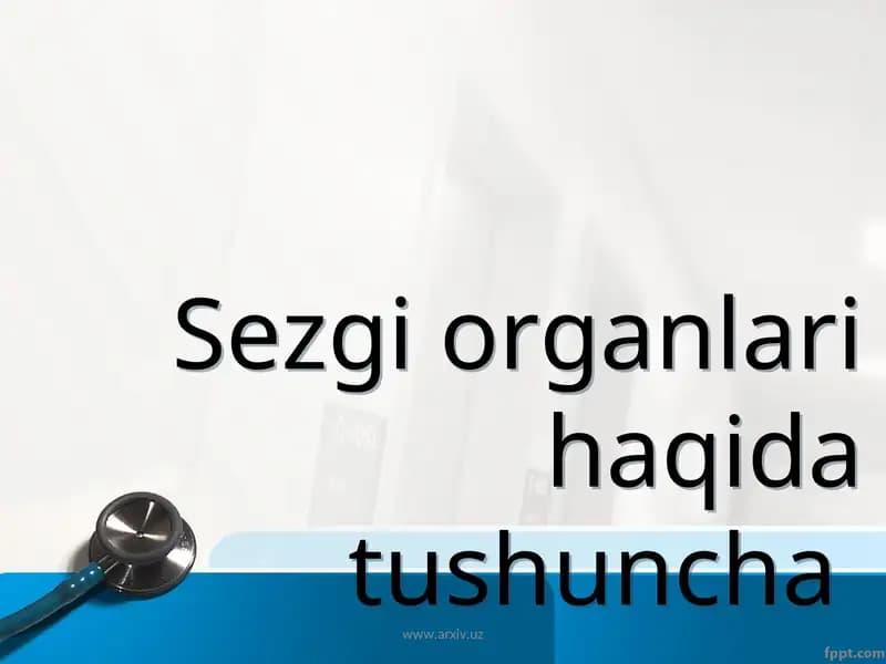 Sezgi organlari haqida tushuncha