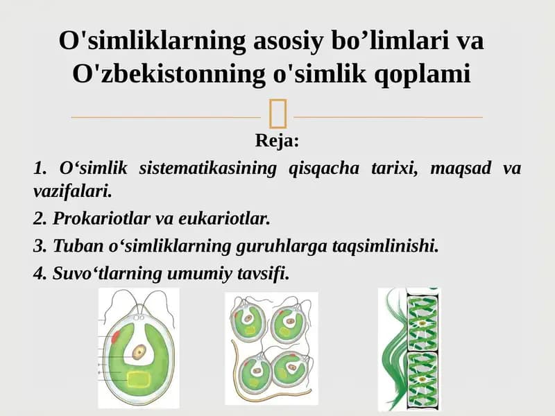 O‘simliklar sistematikasi