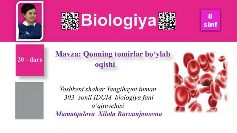Qonning tomirlar bo‘ylab oqishi