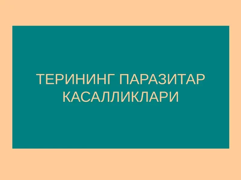 Терининг паразитар касалликлари