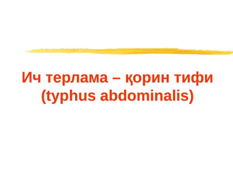 Ич терлама –қорин тифи (typhus abdominalis)