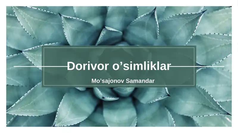 Dorivor oʼsimliklar