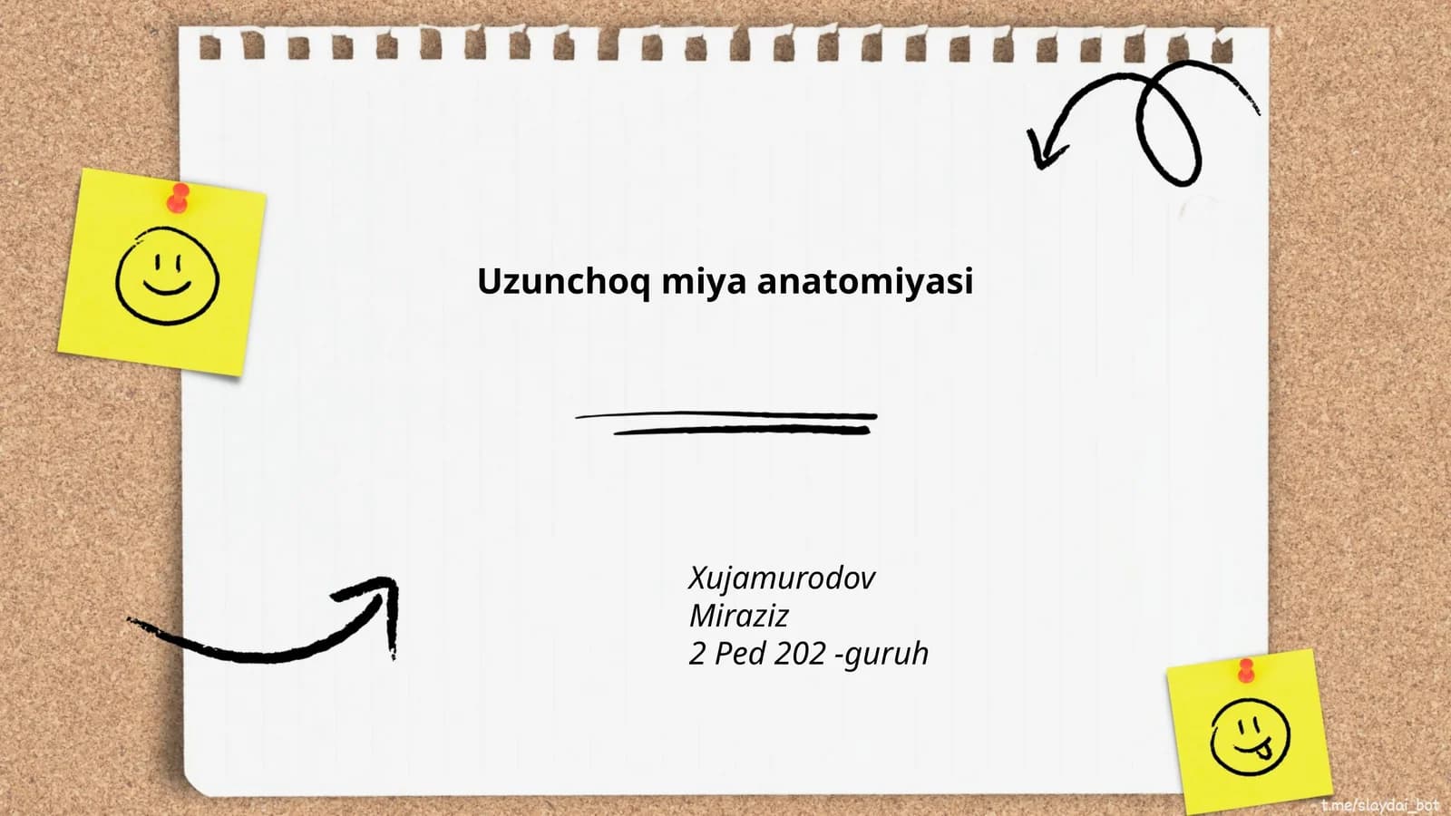 Uzunchoq miya anatomiyasi