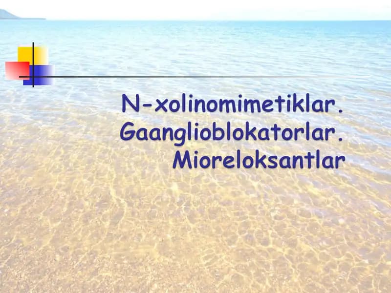Nikotinga sezgir (N-xolinoretseptorlar)