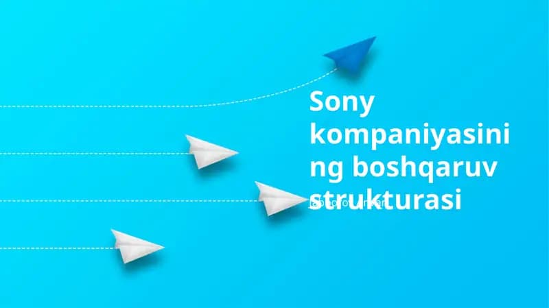 Sony kompaniyasining boshqaruv strukturasi