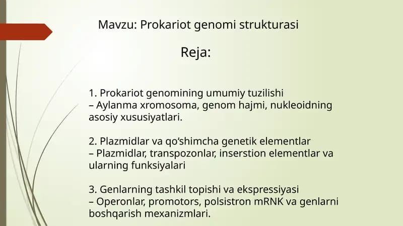 Prokariot genomi strukturasi