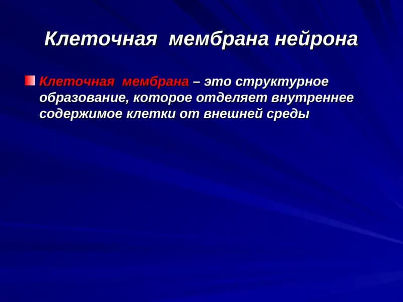 Клеточная мембрана нейрона