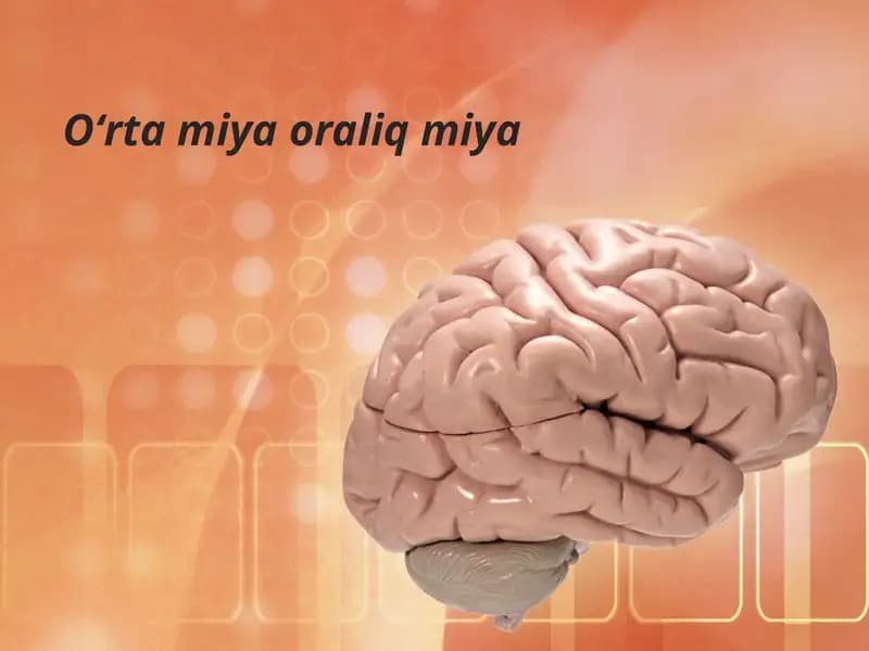 Boshmiyaning tuzilishi va funksiyasi