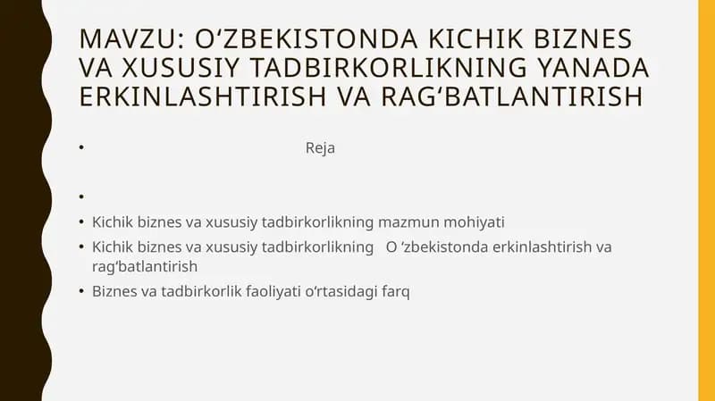 Kichik biznes va xususiy tadbirkorlik