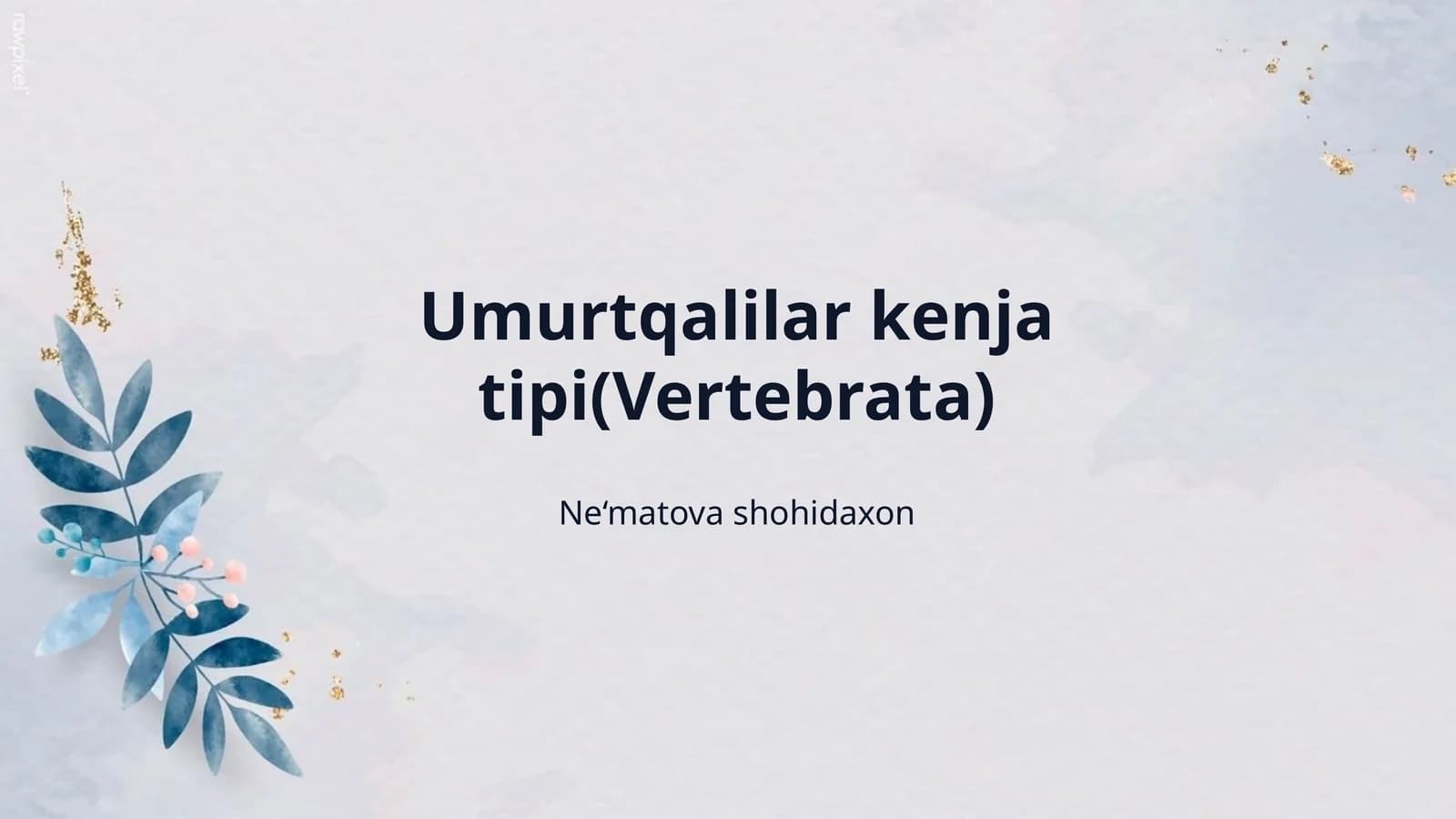 Umurtqalilar kenja tipi(Vertebrata)