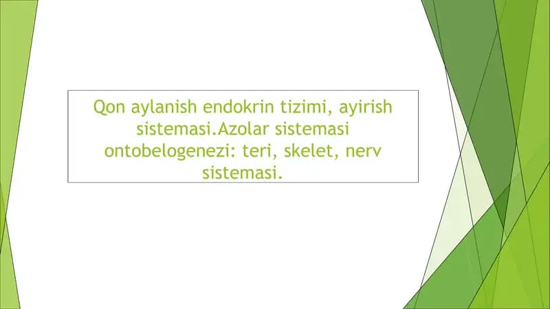 Qon Aylanish Sistemasi