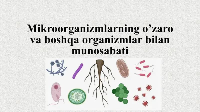 Mikroorganizmlarning o’zaro va boshqa organizmlar bilan munosabati