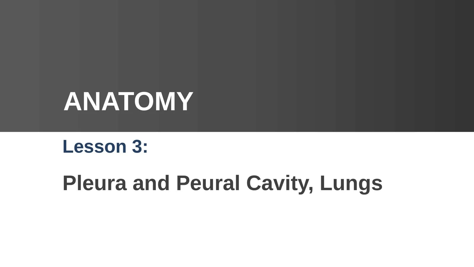 Pleura and Peural Cavity, Lungs