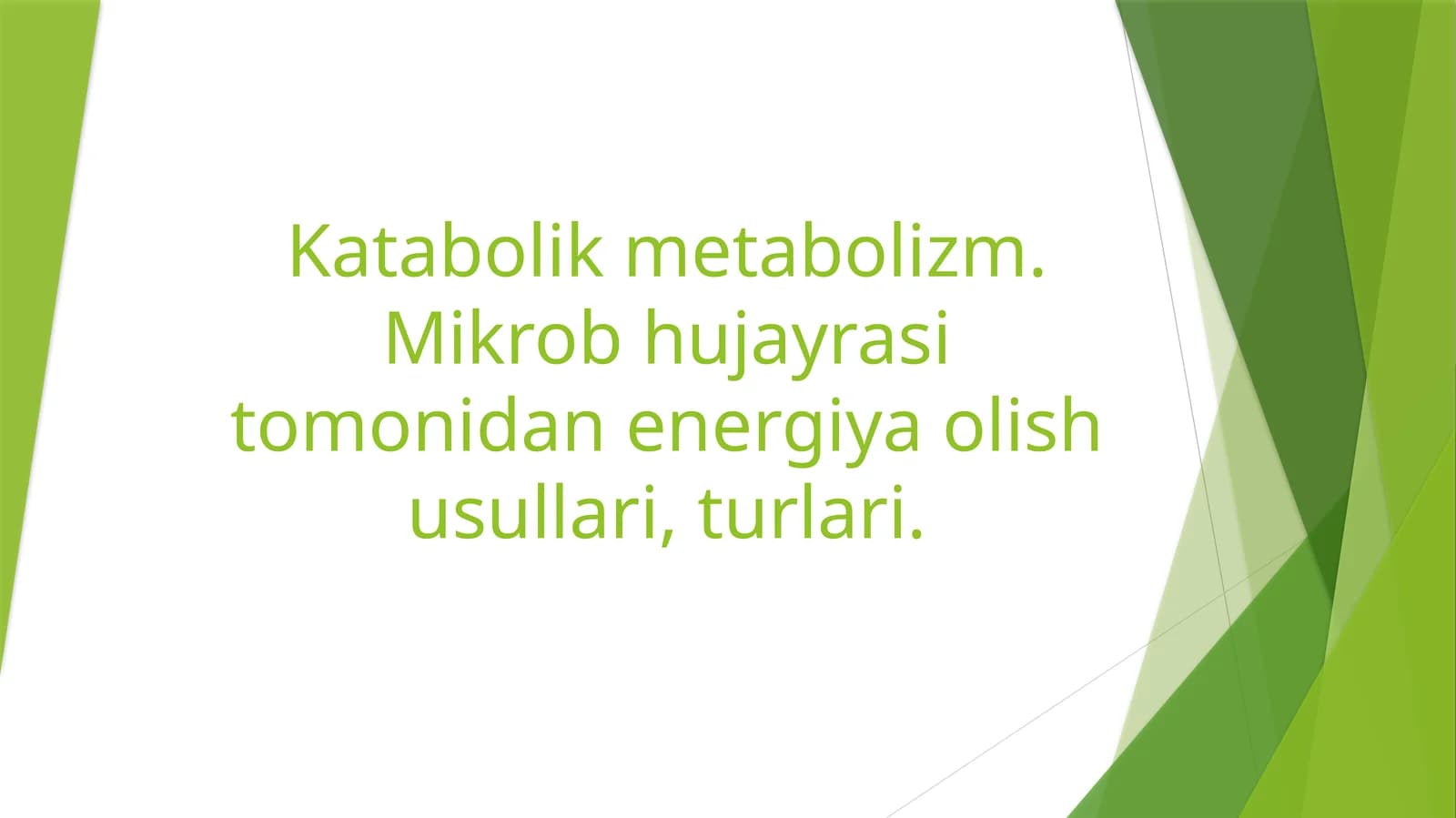 Katabolikmetabolizm