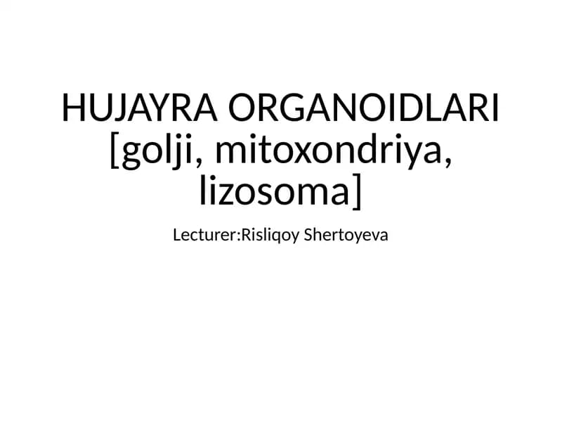 HUJAYRA ORGANOIDLARI