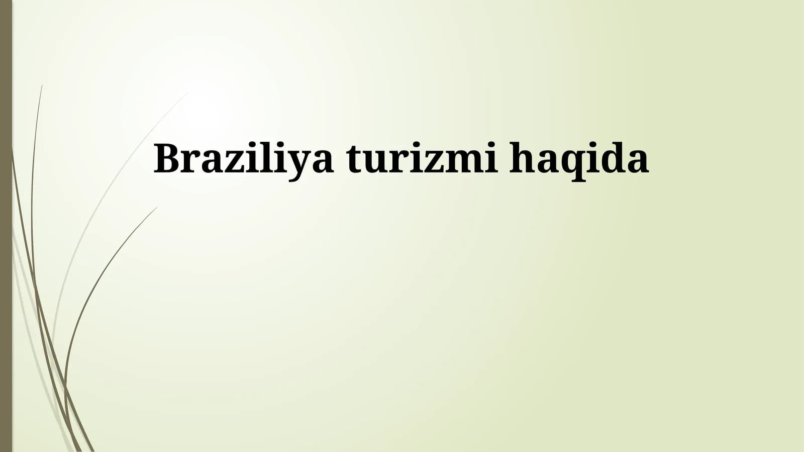 Braziliya turizmi haqida