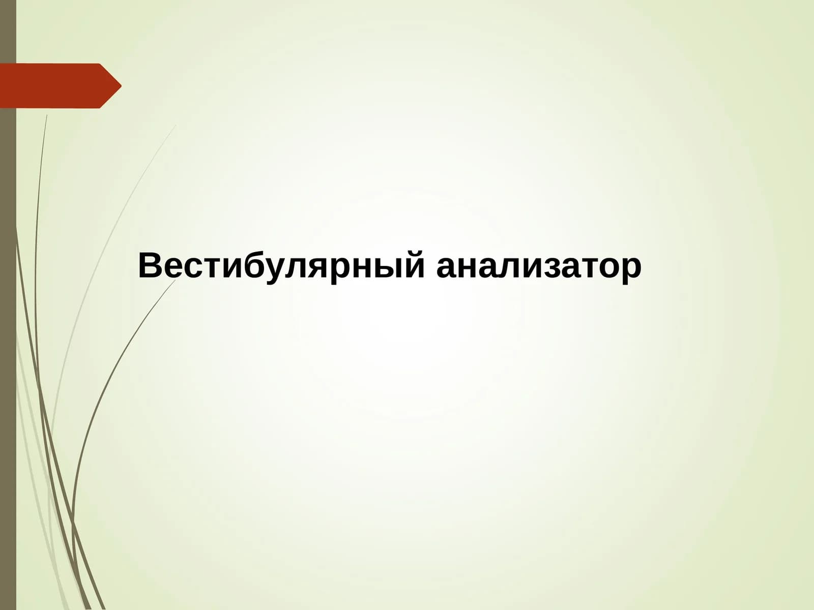Вестибулярный анализатор
