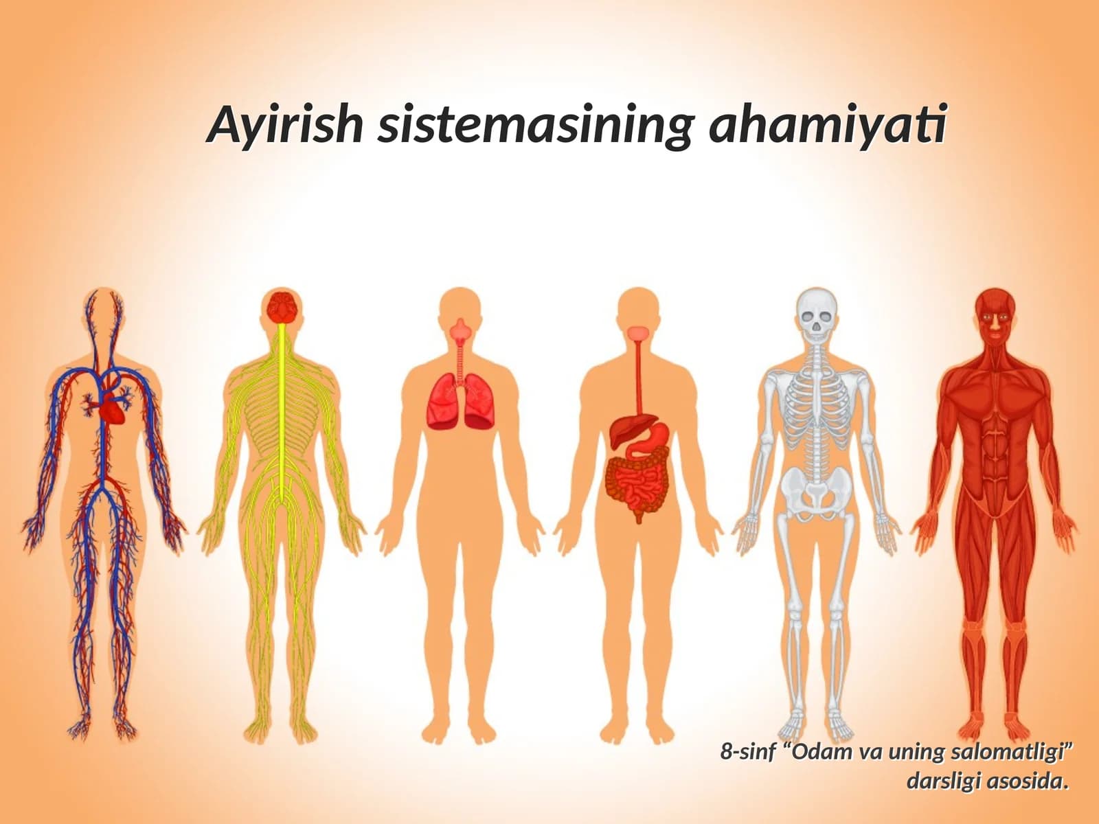 Ayirish sistemasining ahamiyati