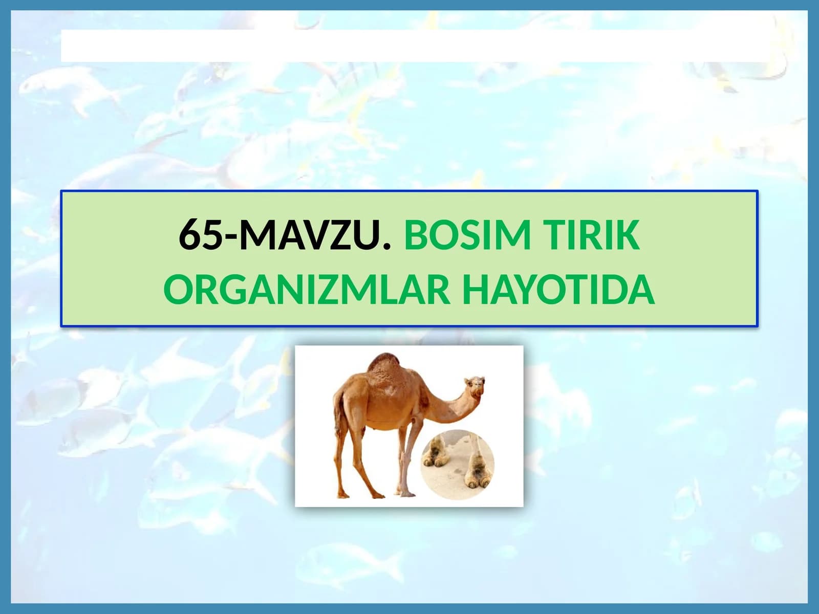 MAVZU.BOSIM TIRIK