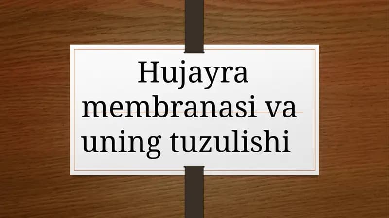 Hujayra membranasi va uning tuzulishi