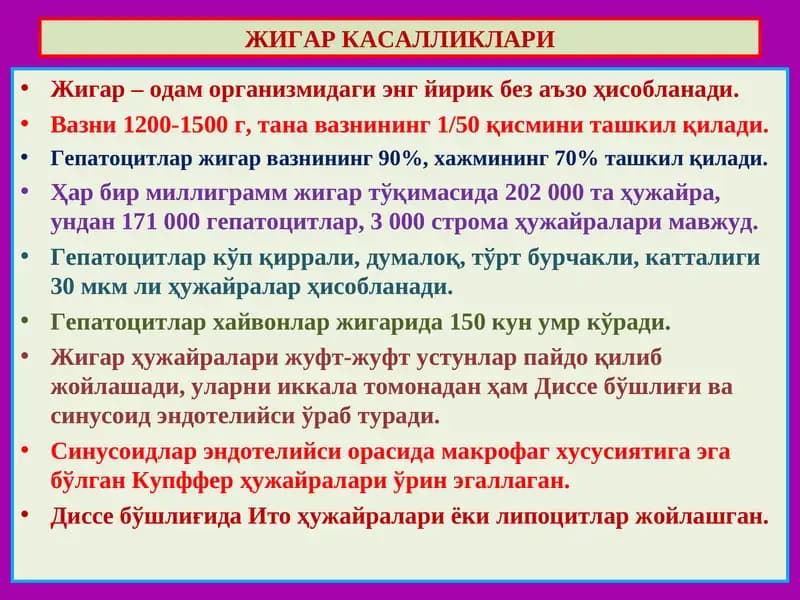 Жигар Касалликлари