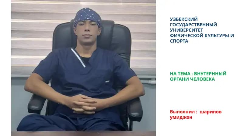 ВНУТЕРННЫЙ ОРГАНИ ЧЕЛОВЕКА