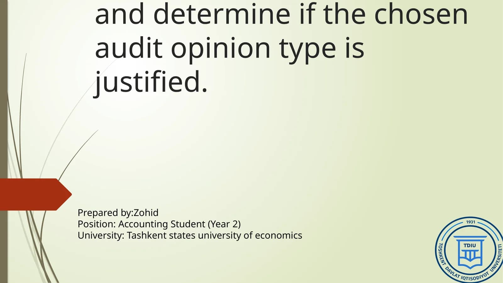 Audit Opinion Types