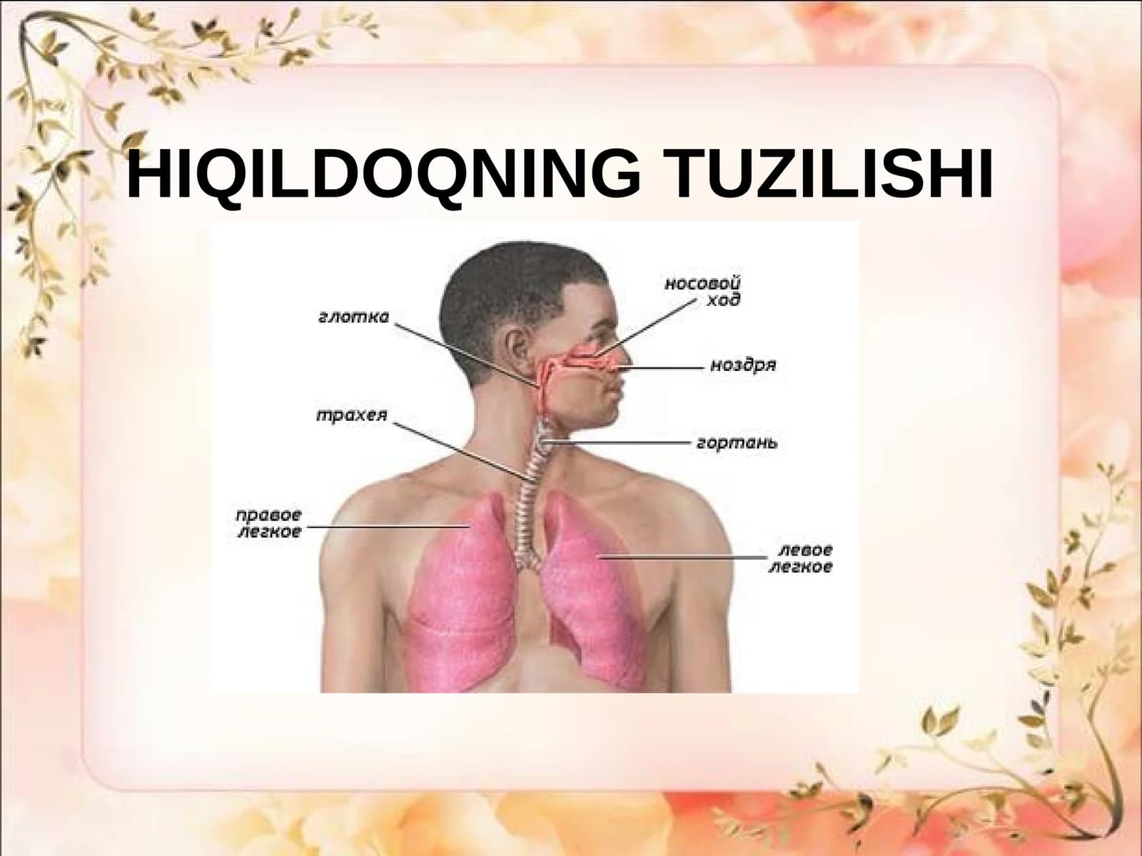 HIQILDOQNING TUZILISHI